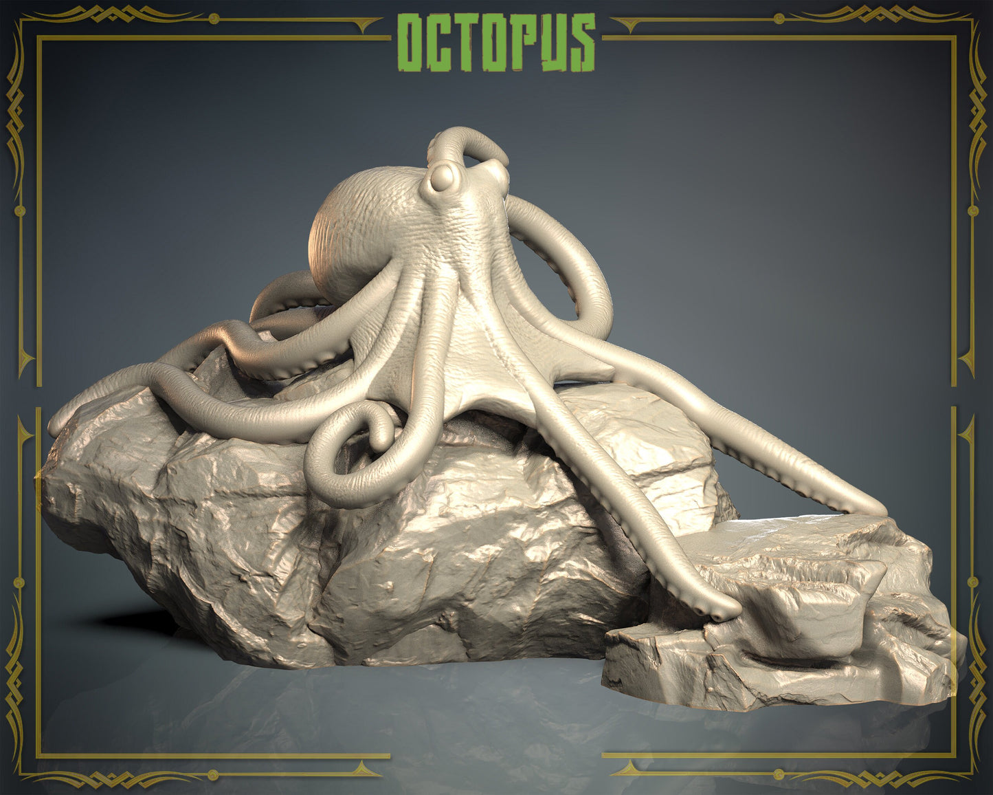 Octopus