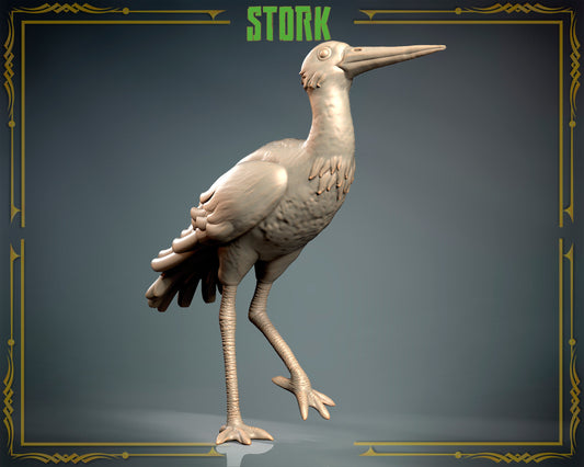 Stork