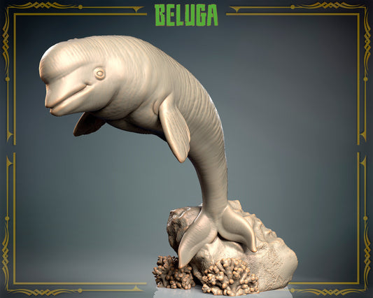 Beluga Whale