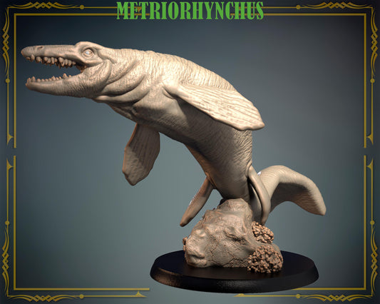 Metriorhynchus/ Dinosaur – image 1