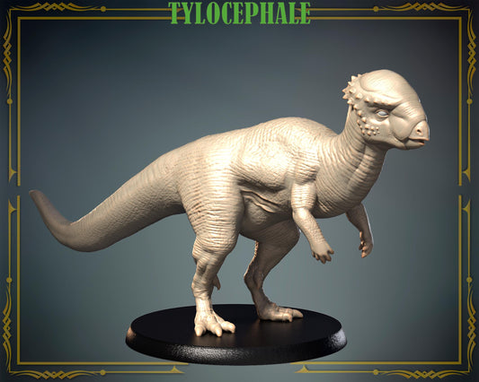 Tylocephale/ Dinosaur – image 1