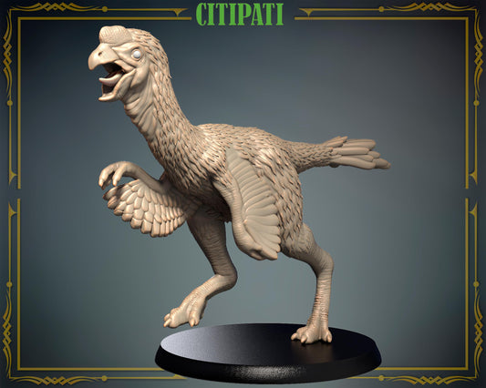 Citipati/ Dinosaur – image 1