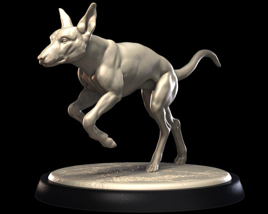 Pharaoh Hound Dog – image 1