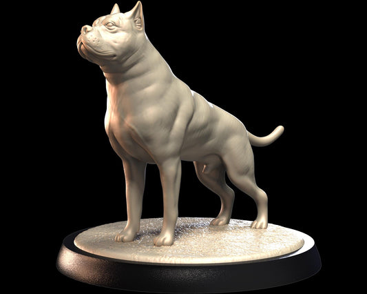 Pit Bull Dog – image 1