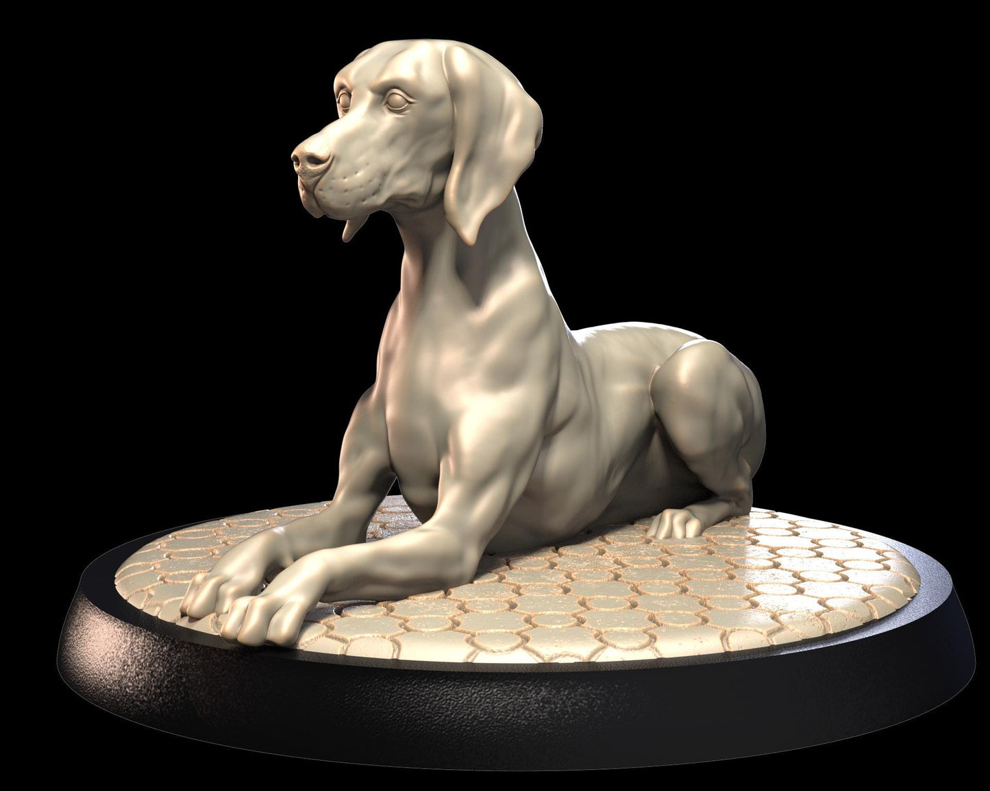 Weimaraner Dog – image 1
