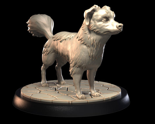 Kokoni Dog – image 1