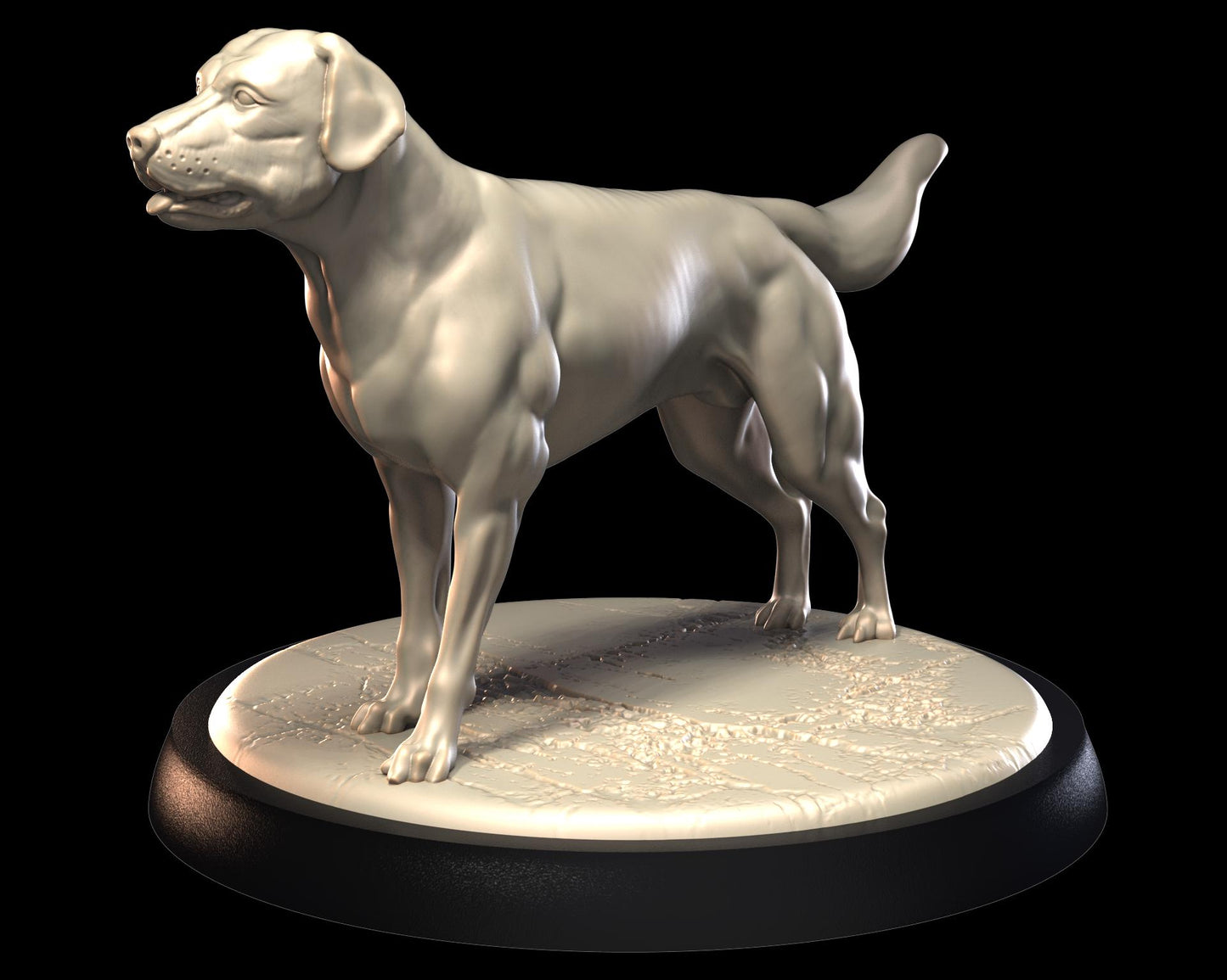 Labrador Dog – image 1