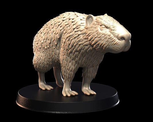 Capybara – image 1