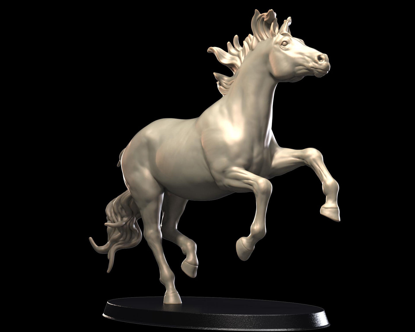 Horses – image 1