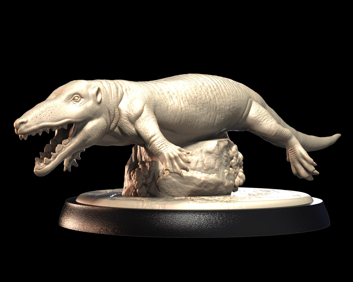 Ambulocetus – image 1
