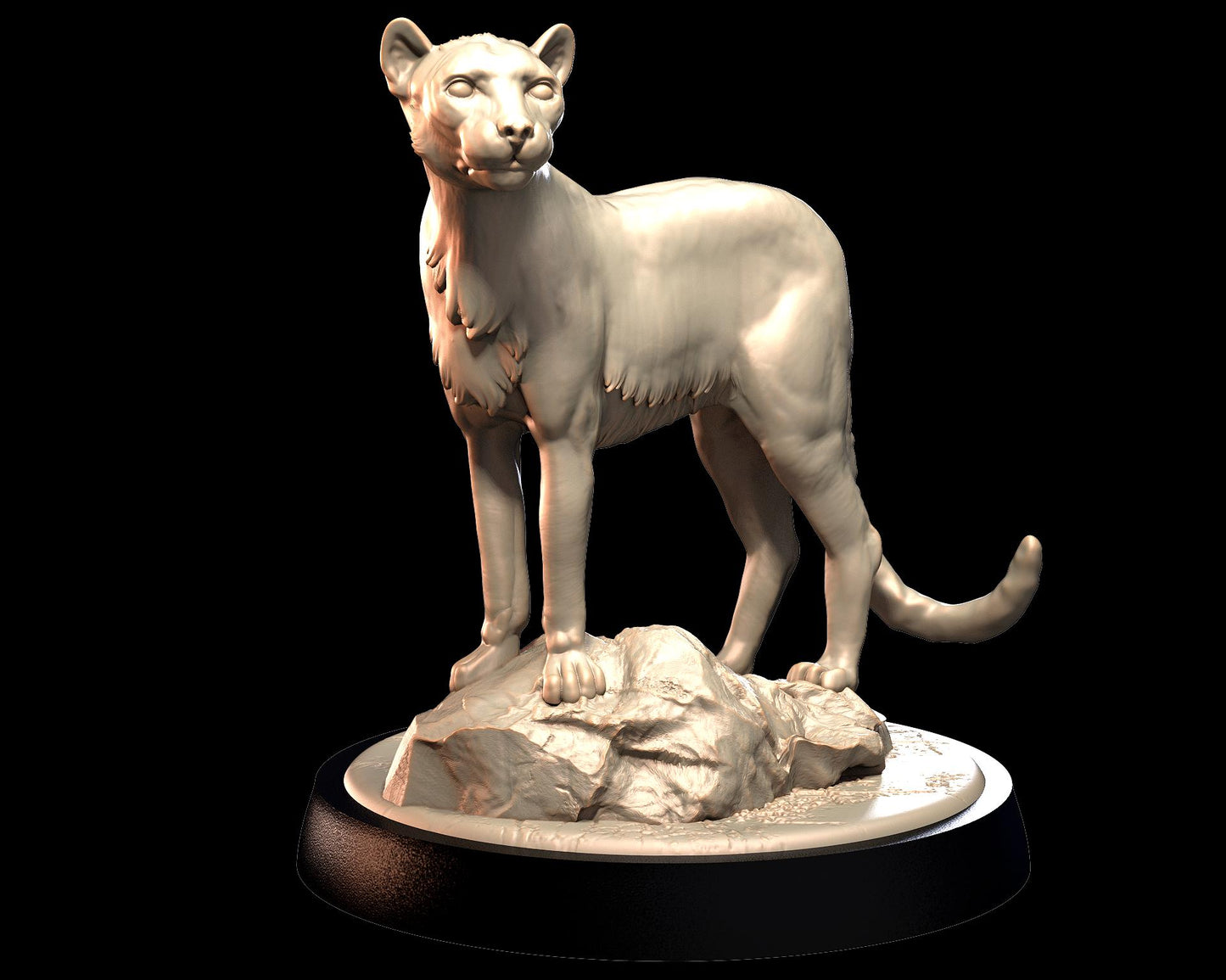 Cheetah – image 1