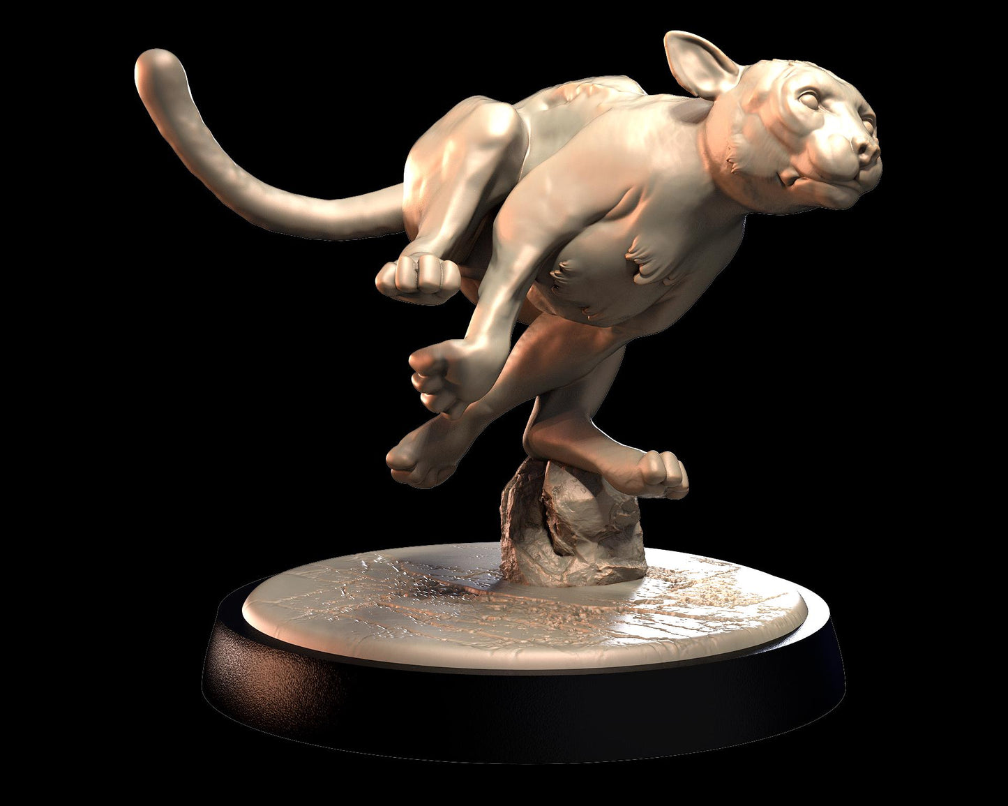 Cheetah – image 3