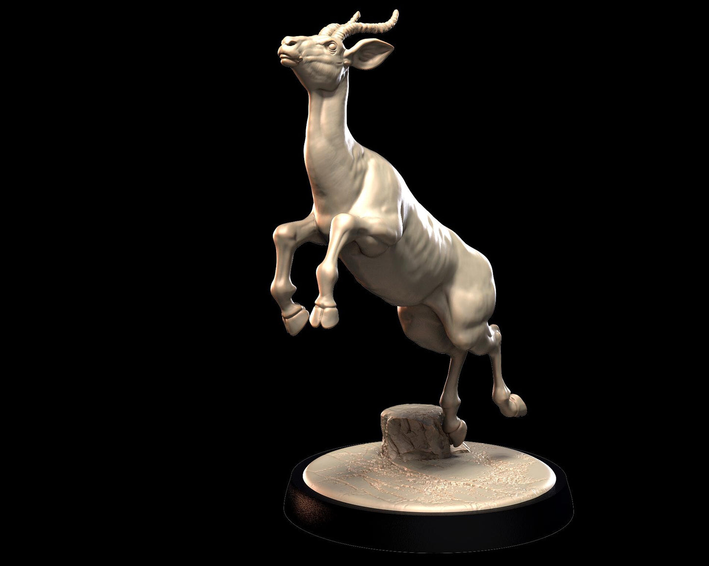 Gazelle – image 3