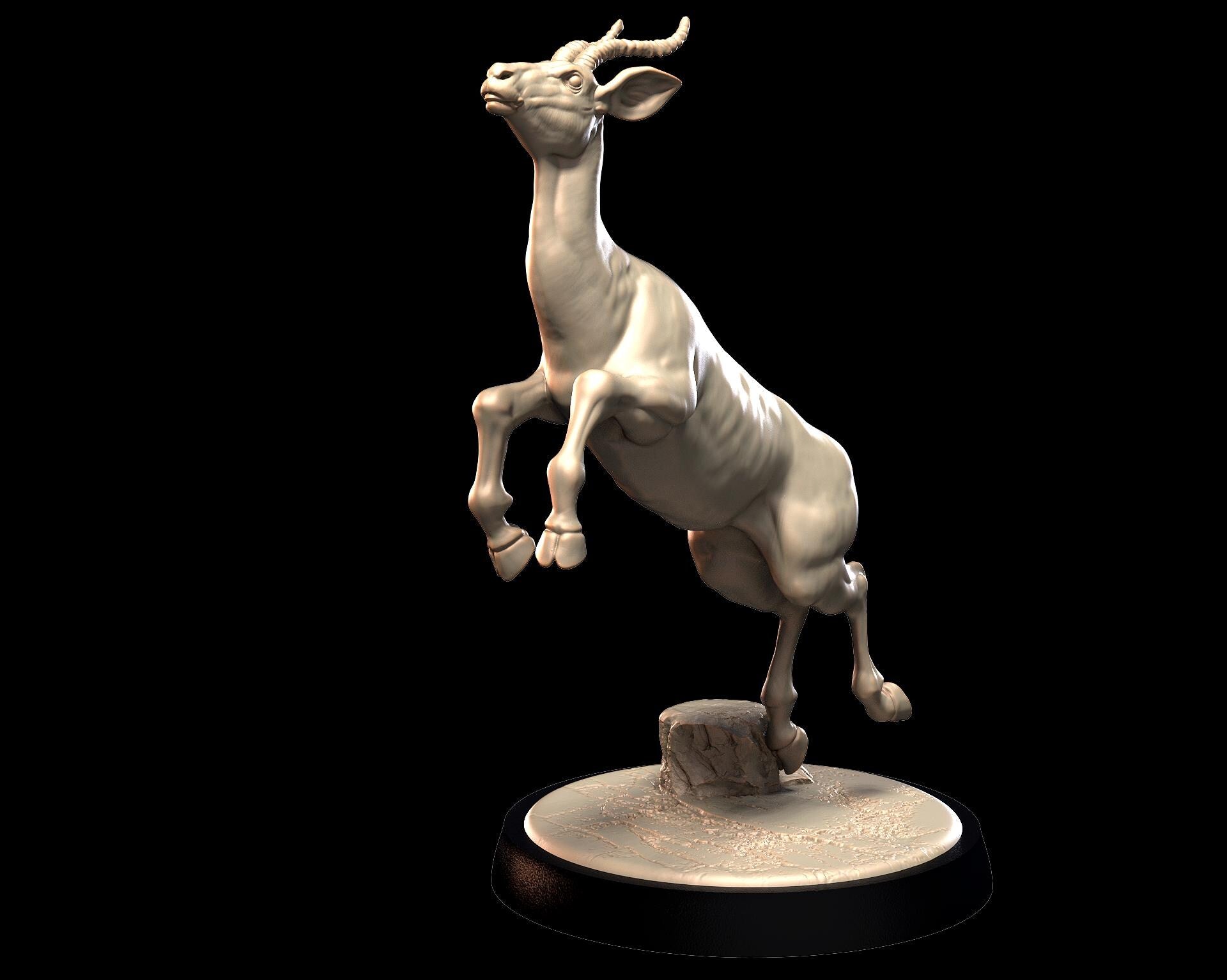 Gazelle – image 3