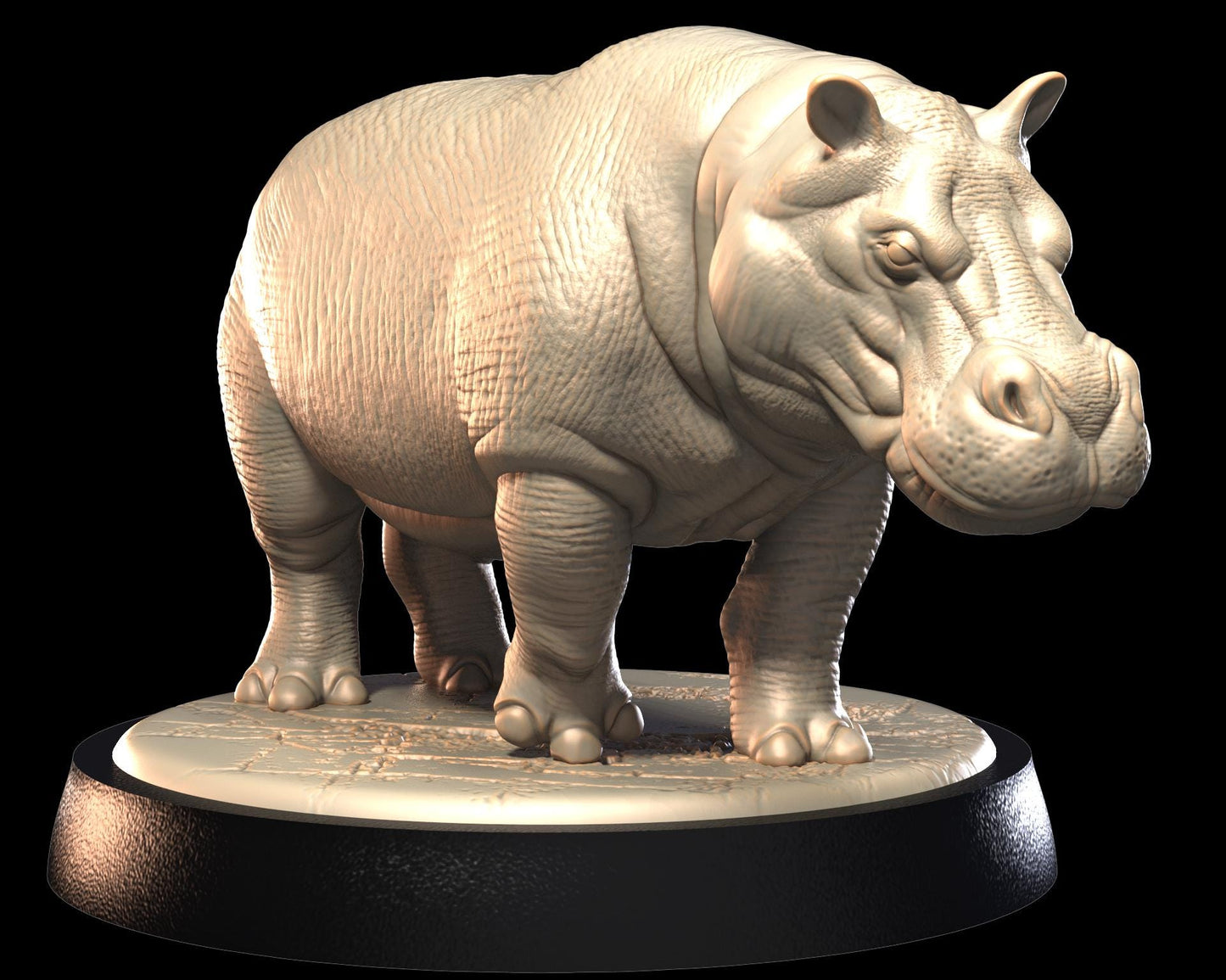 Hippo – image 3