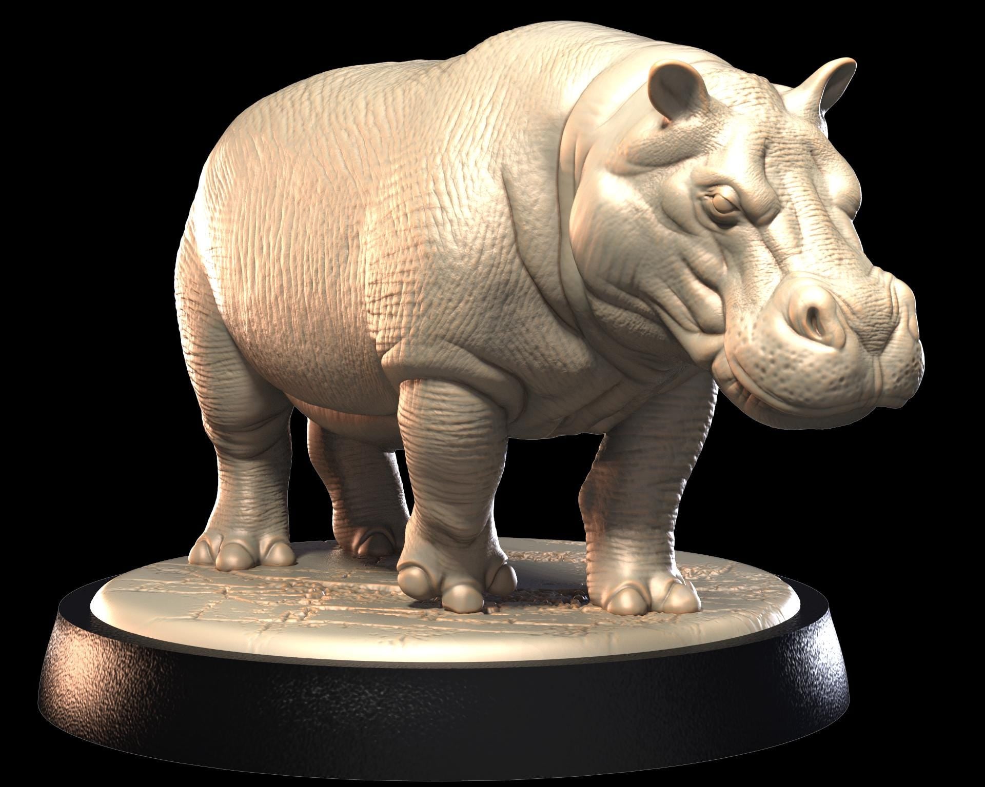 Hippo – image 3