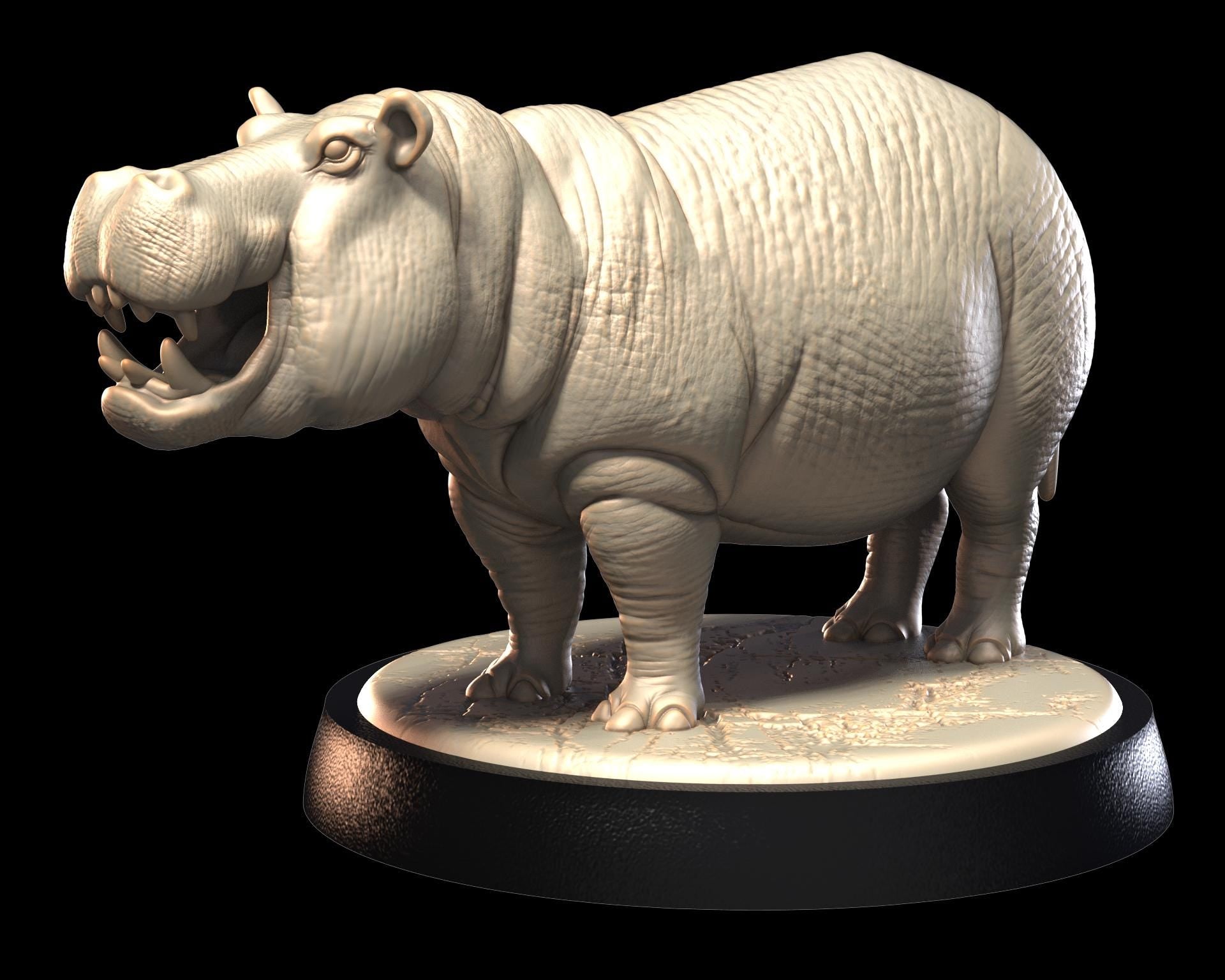 Hippo – image 2