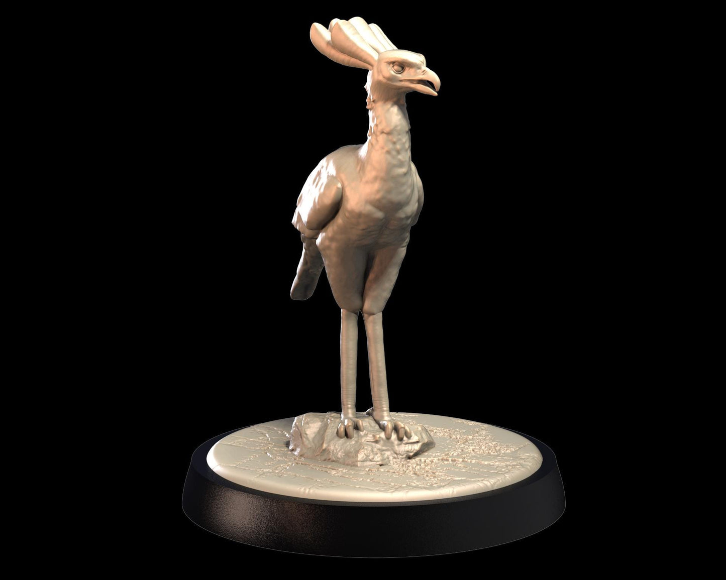 Secretary Bird – image 3