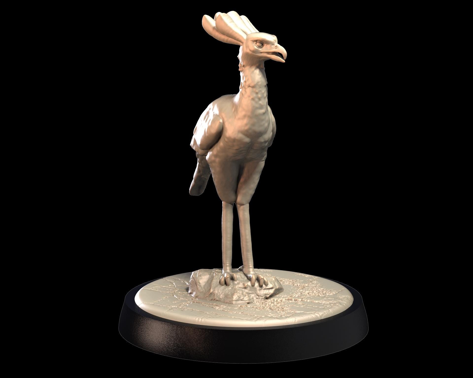 Secretary Bird – image 3