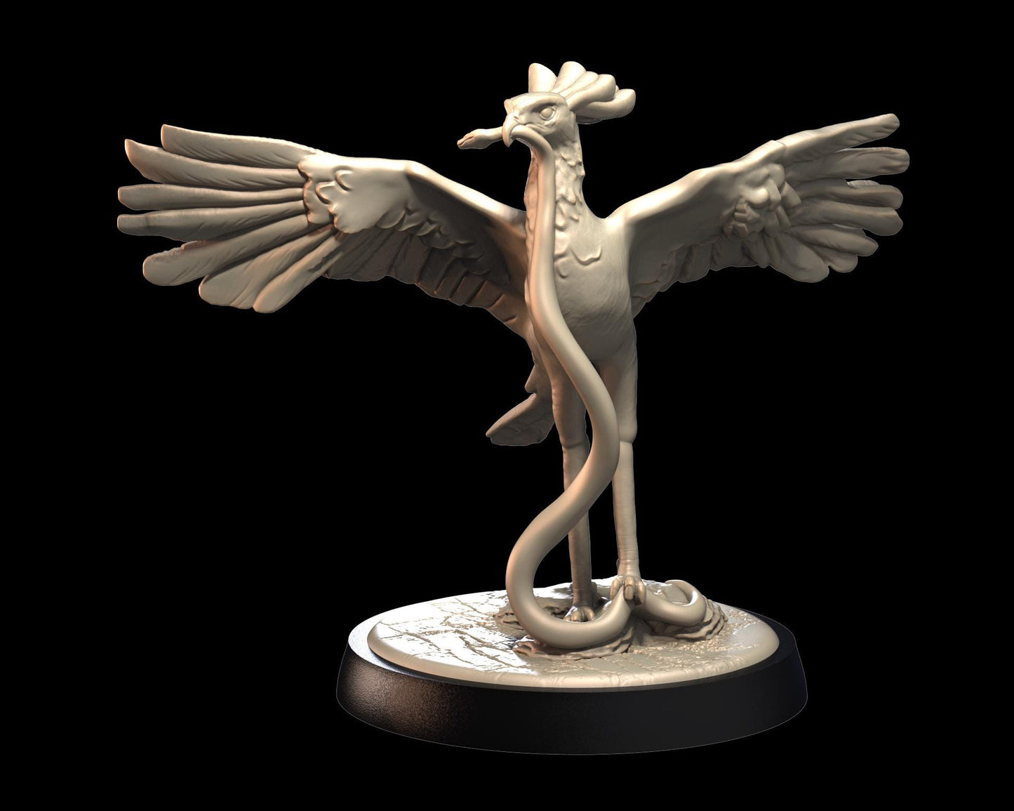 Secretary Bird – image 2