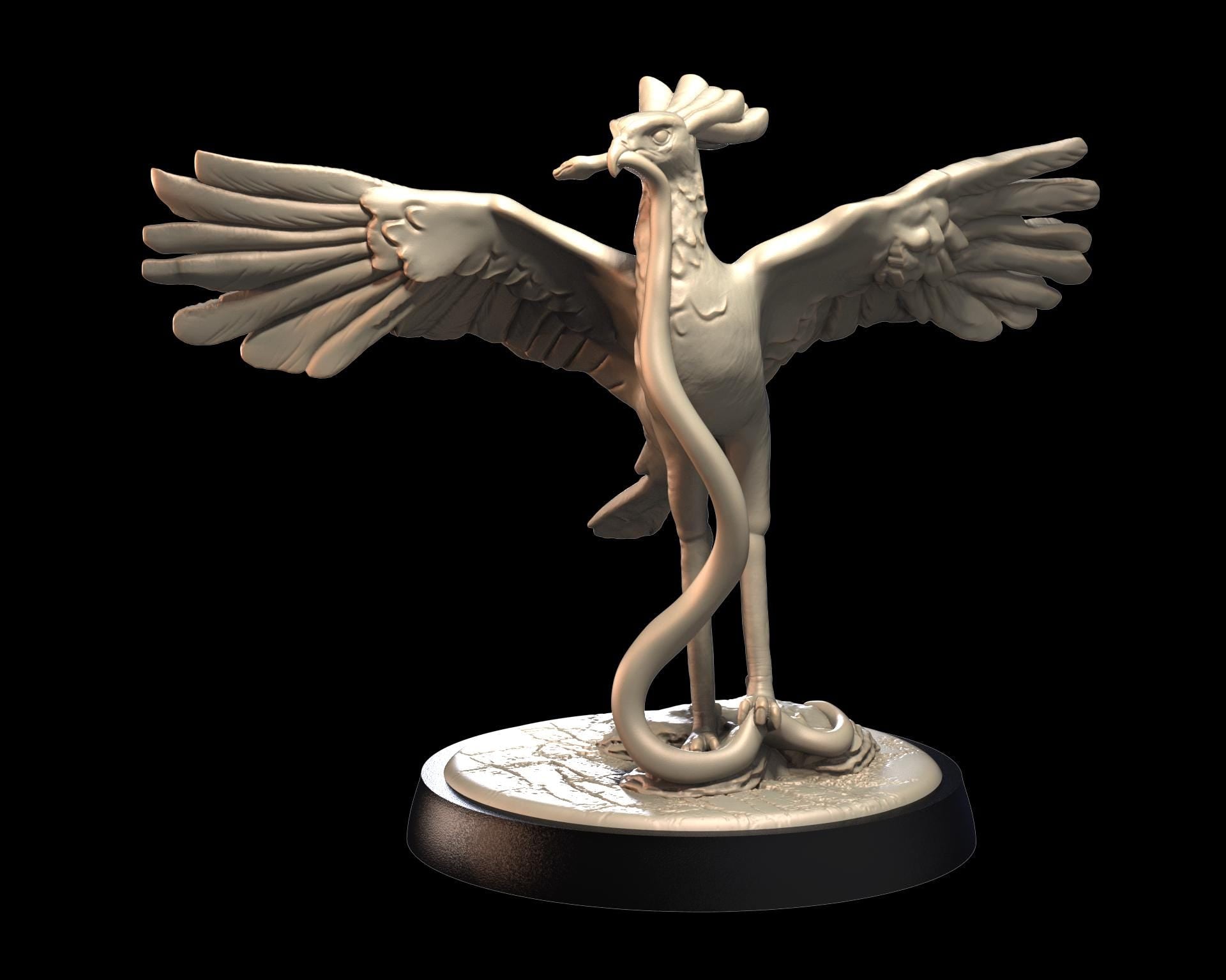 Secretary Bird – image 2