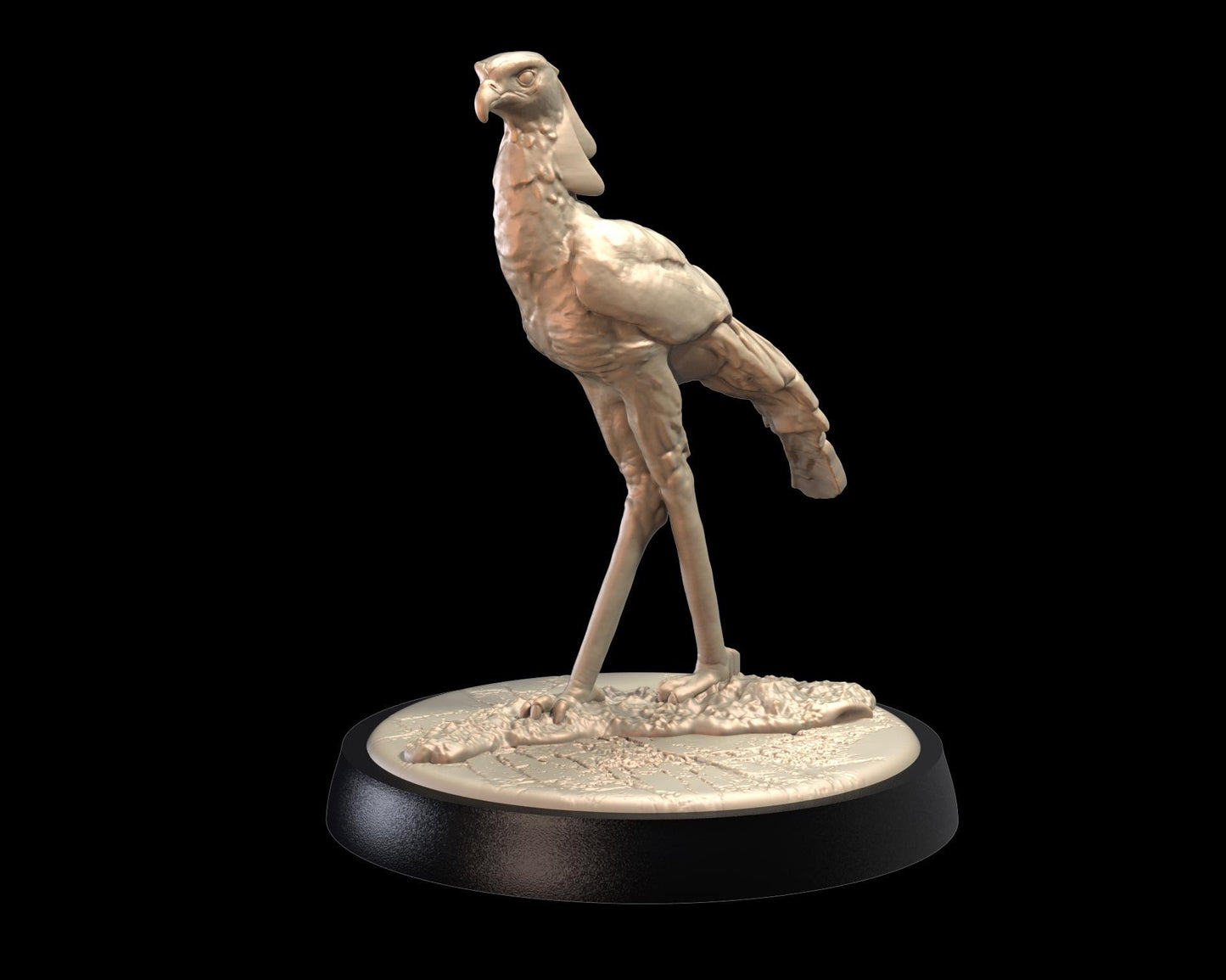 Secretary Bird – image 1
