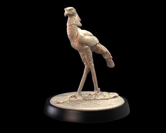 Secretary Bird – image 1