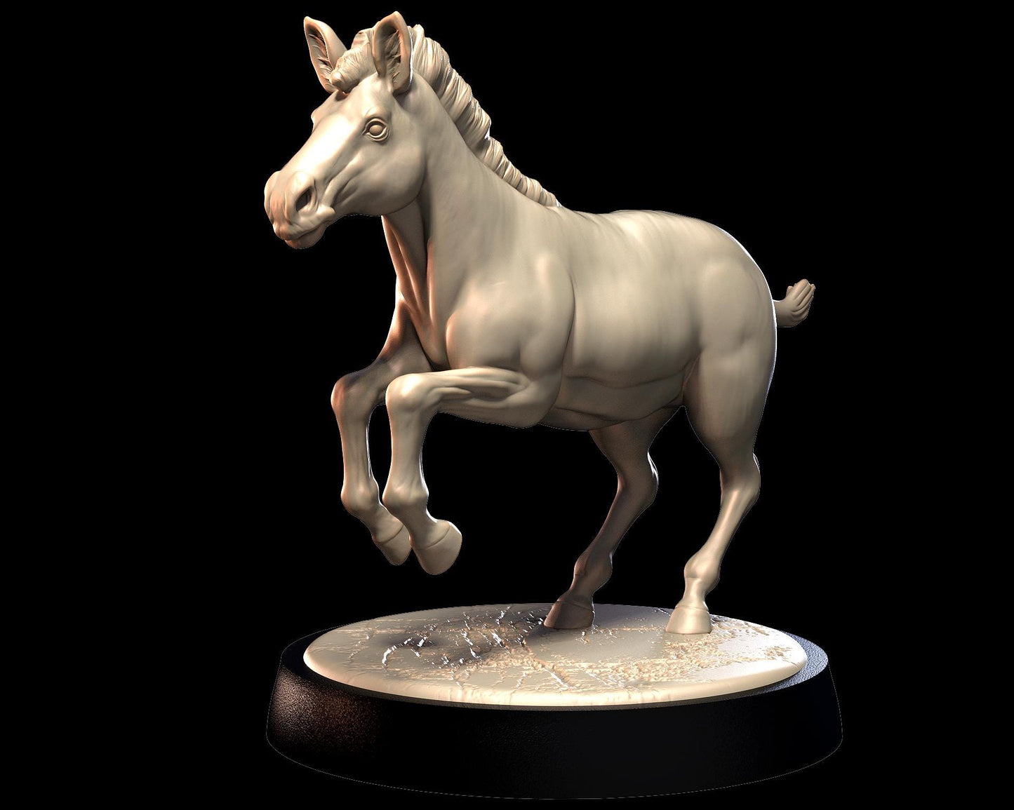 Zebra – image 3