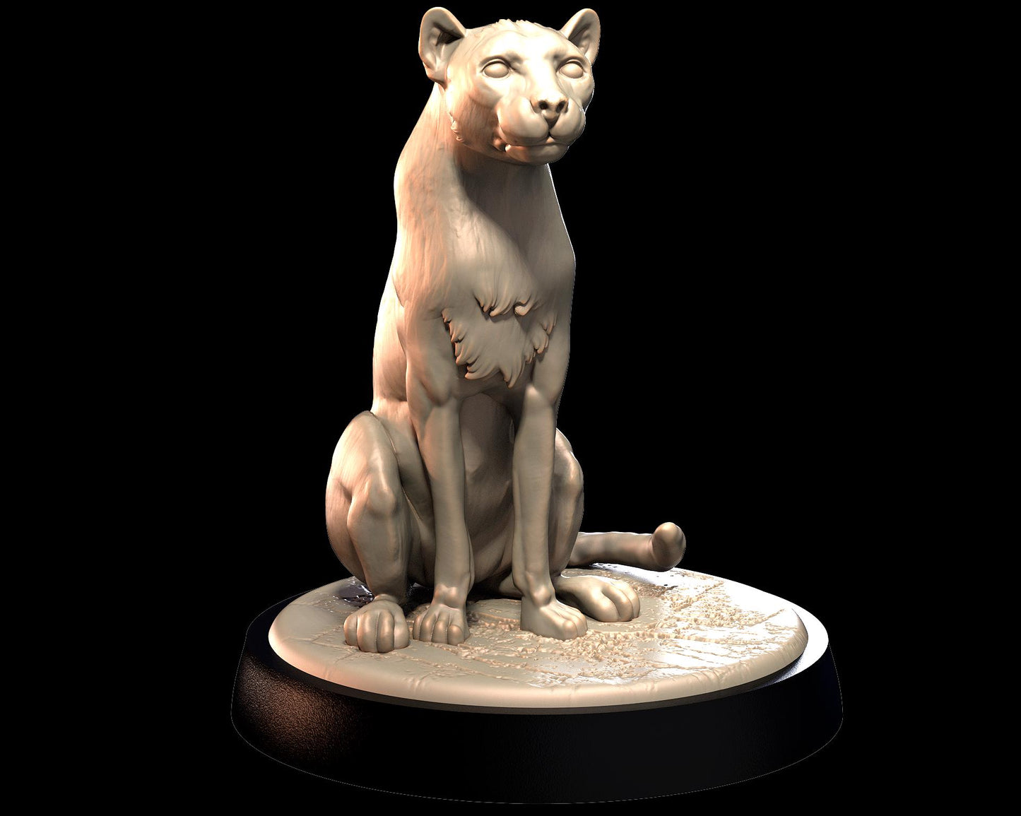 Cheetah – image 2
