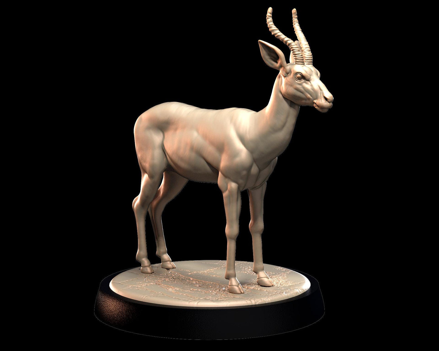 Gazelle – image 4