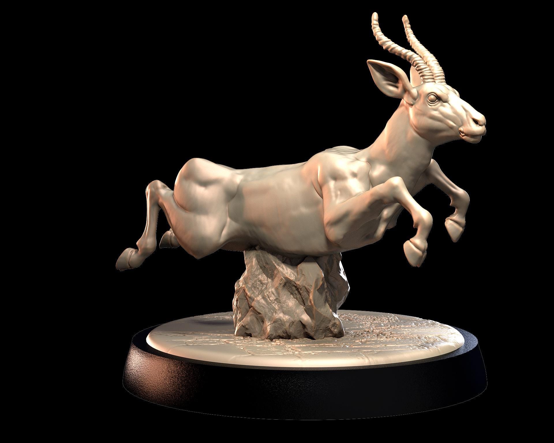 Gazelle – image 1