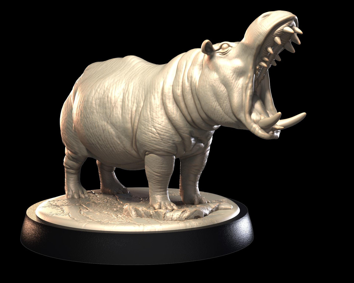 Hippo – image 1