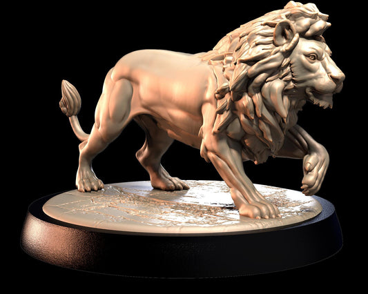 Lion – image 1