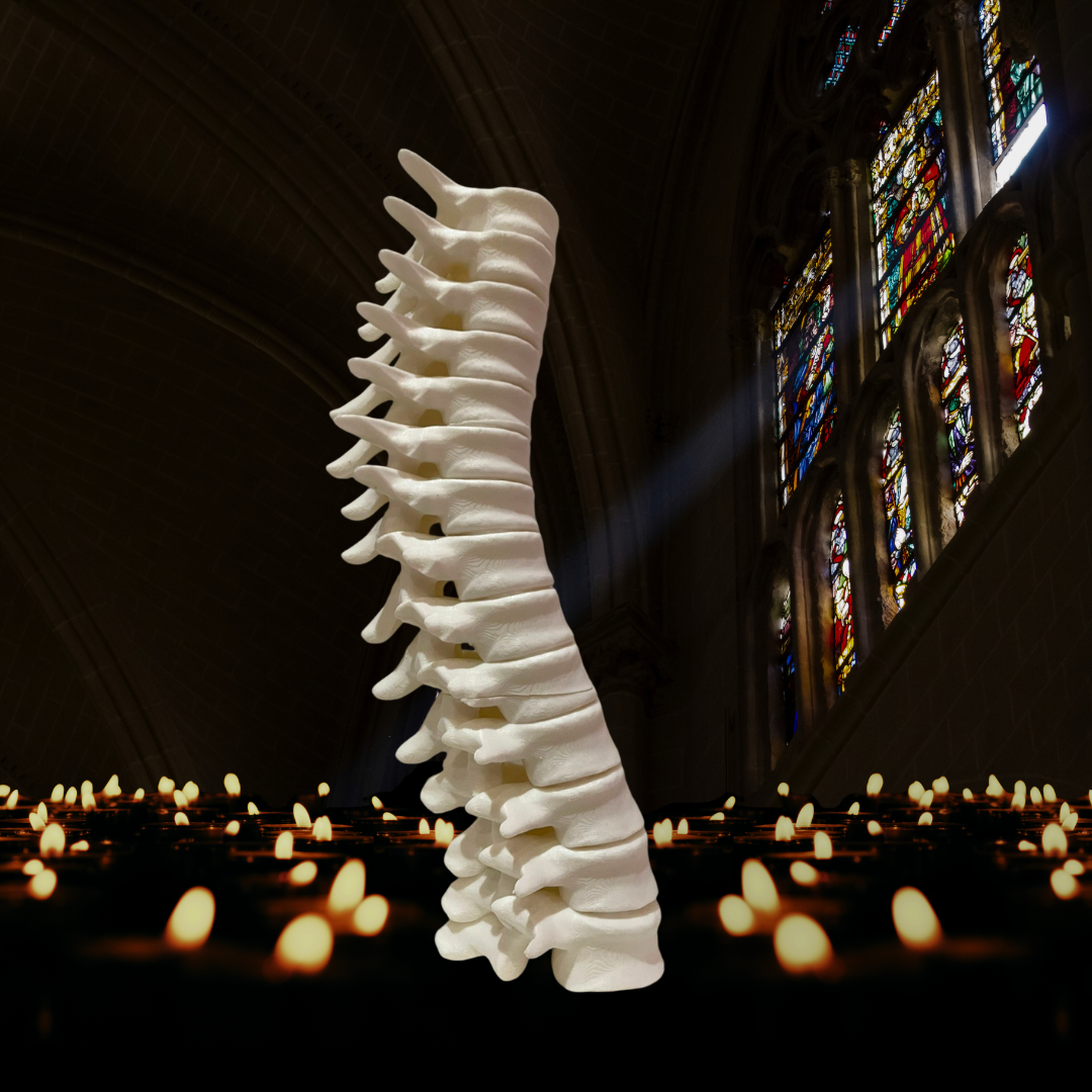 Spine Candle Holder | 3D Printed Anatomical Decor – Lorecom Miniatures