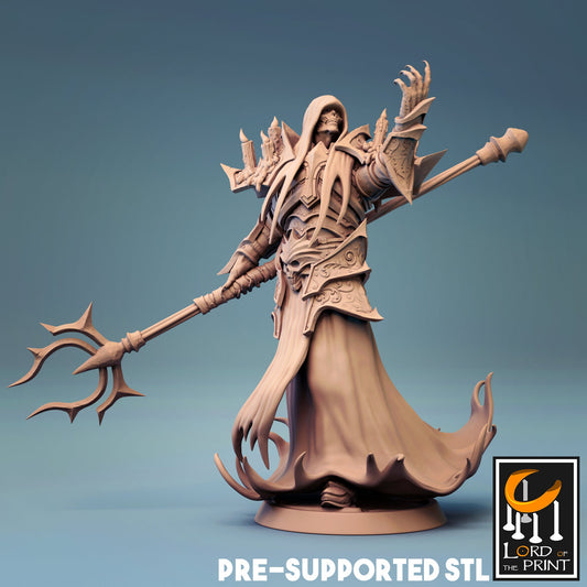 Wight Necromancer from Lord of the Print/ Ideal for Dungeons and Dragons/ D&D / Wargaming
