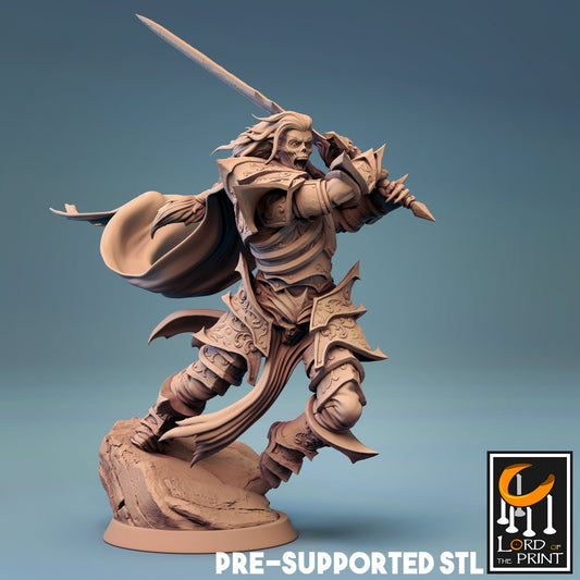 Wight Swordsman from Lord of the Print/ Ideal for Dungeons and Dragons/ D&D / Wargaming