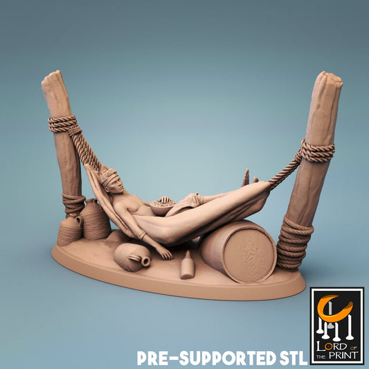 Pirate on a hammock - Lord of the Print - ideal for Dungeons and Dragons and other Tabletop RPGs/Wargaming/D&D
