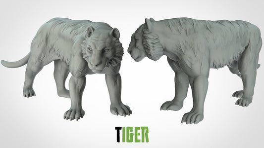 Tiger - ideal for Dungeons and Dragons and other Tabletop RPGs/Wargaming/D&D