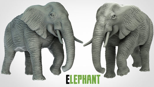 Elephant - ideal for Dungeons and Dragons and other Tabletop RPGs/Wargaming/D&D