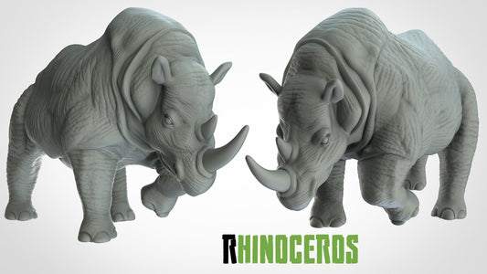 Rhinoceros