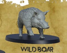 Wild Boar