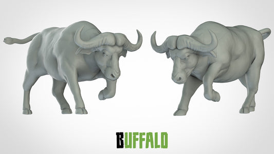 Buffalo