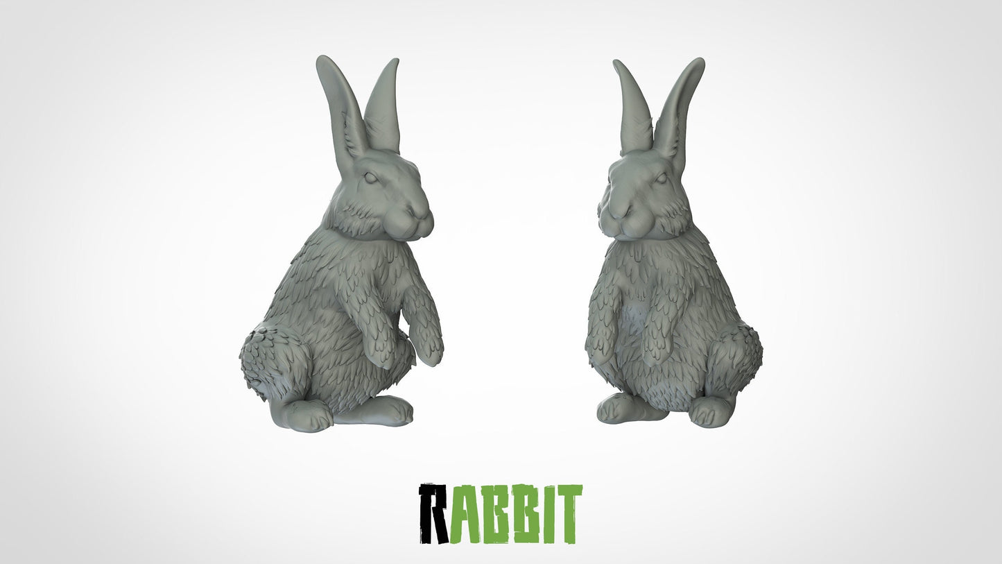 Rabbit Bunny Miniature