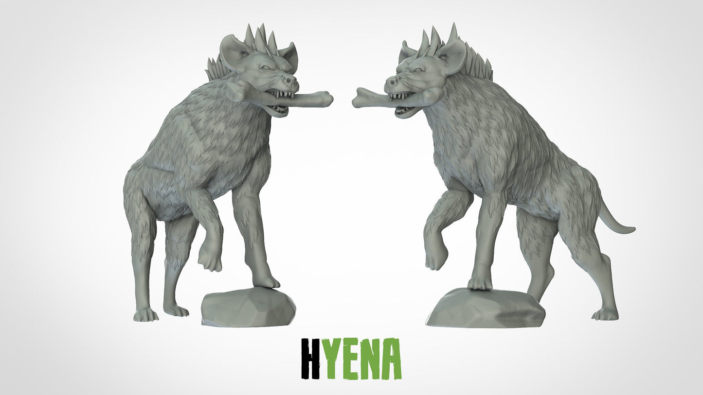 Hyena- ideal for Dungeons and Dragons and other Tabletop RPGs/Wargaming/D&D