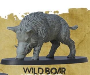 Wild Boar