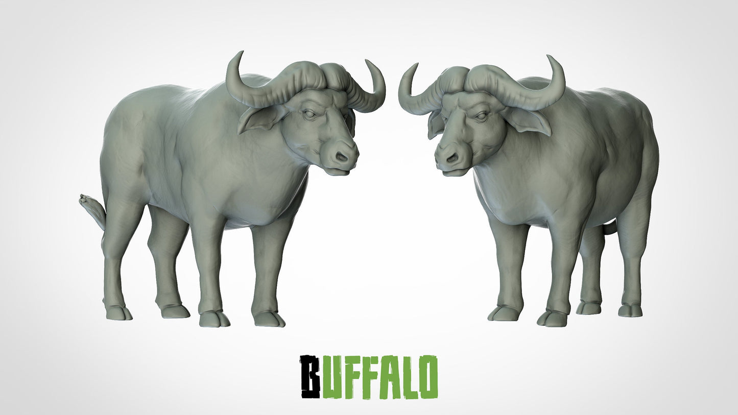 Buffalo