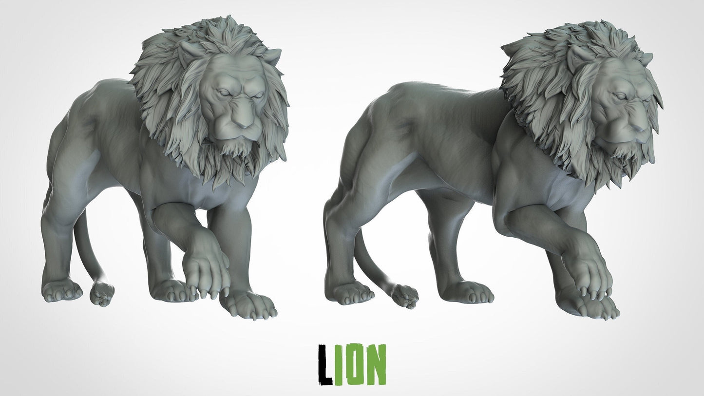 Lion King of the Jungle - ideal for Dungeons and Dragons and other Tabletop RPGs/Wargaming/D&D