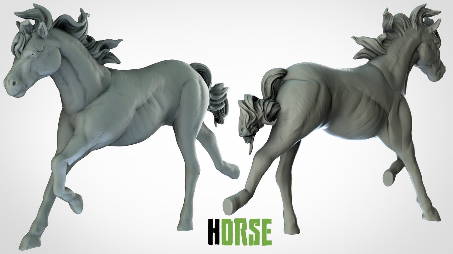 Horse - ideal for Dungeons and Dragons and other Tabletop RPGs/Wargaming/D&D
