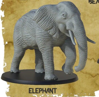 Elephant