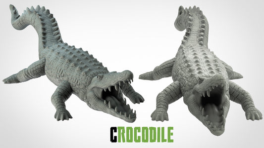 Crocodile